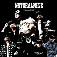 NATURAL NINE Untouchable - Single by BIG RON,DJ☆GO,HOKT,JOYSTICKK,KOZ,RICHEE,ROWSHI,SNAKE album reviews, ratings, credits