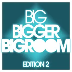 Big, Bigger, Bigroom, Vol. 2 by Various Artists album reviews, ratings, credits