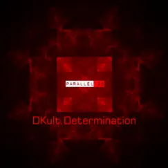 Hole of Determination (Dub Mix) Song Lyrics