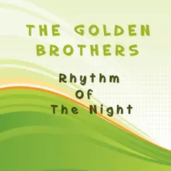 The Rhythm of the Night (Radio Edit) Song Lyrics