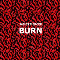 Burn by James Mercer album reviews, ratings, credits