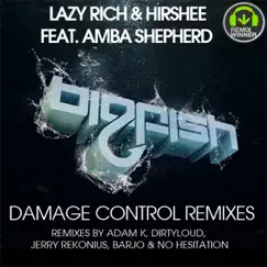 Damage Control Remixes - EP by Lazy Rich & Hirshee album reviews, ratings, credits