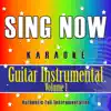 Sing Now Karaoke - Guitar Instrumental (Performance Backing Tracks) album lyrics, reviews, download