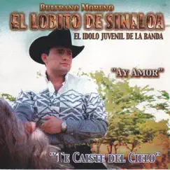 Te Caiste del Cielo by El Lobito de Sinaloa album reviews, ratings, credits