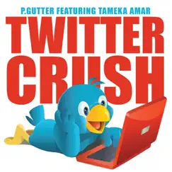 Twitter Crush (feat. Tameka Amar) - Single by P.Gutter album reviews, ratings, credits