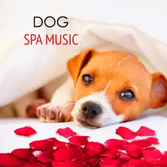 Dog Spa Music (Dog Salon - Bird Sounds) Song Lyrics