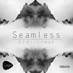 Seamless (Original Mix) Song Lyrics