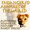 Endangered Animals of the World: Authentic Sounds of Nature's Rarest Species album lyrics, reviews, download