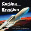 Erection (Take It to the Top) (Radio Edit) [feat. BK & Madam Friction] song lyrics
