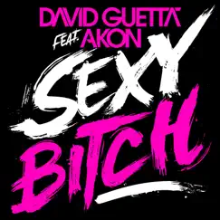 Sexy Bitch (feat. Akon) [Extended Version] Song Lyrics