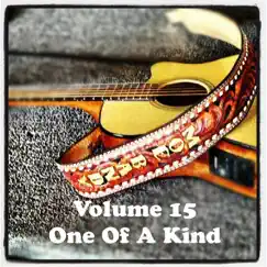 Volume 15 (One of a Kind) by Moe Bandy album reviews, ratings, credits