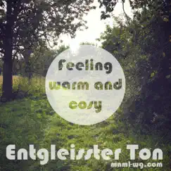 Feeling Warm and Cosy - Single by Entgleisster Ton album reviews, ratings, credits