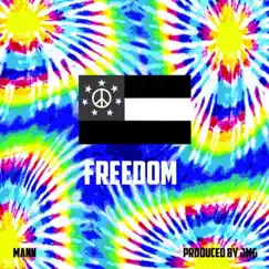 Freedom - Single by Mann album reviews, ratings, credits