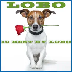 I'd Love You to Want Me (Lobo Extended Mix) Song Lyrics