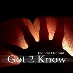 Got 2 Know (Remixes) - EP by The Soul Elephant album reviews, ratings, credits