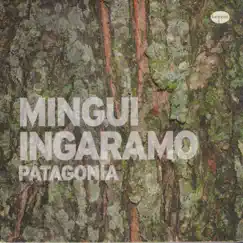 Patagonia Song Lyrics