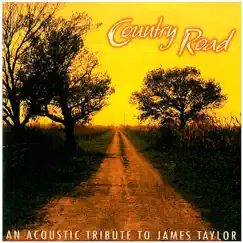An Acoustic Tribute to James Taylor: Country Road by Pickin' On Series album reviews, ratings, credits