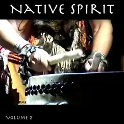 Native Spirit, Vol. 2 by The Hollywood Symphony Orchestra album reviews, ratings, credits