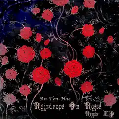 Raindrops On Roses (Ooah Remix) Song Lyrics