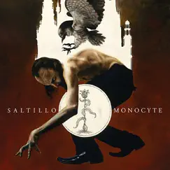 Monocyte: The Lapis Coil - EP by Saltillo album reviews, ratings, credits