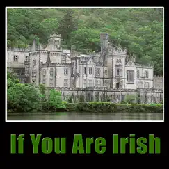 If You Are Irish by Barnbrack album reviews, ratings, credits