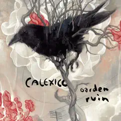 Garden Ruin by Calexico album reviews, ratings, credits