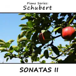 Piano Series: Schubert (Sonatas 2) by James Wright Webber album reviews, ratings, credits