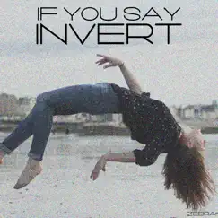 If You Say - Single by Invert album reviews, ratings, credits