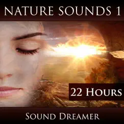 Ocean Wave Sounds (2 Hours) by Sound Dreamer album reviews, ratings, credits