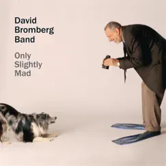 Only Slightly Mad by David Bromberg & The David Bromberg Band album reviews, ratings, credits