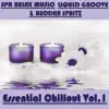 Essential Chillout, Vol. 1 album lyrics, reviews, download