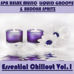 Essential Chillout, Vol. 1 by Spa Relax Music, Liquid Groove & Buddha Spritz album reviews, ratings, credits