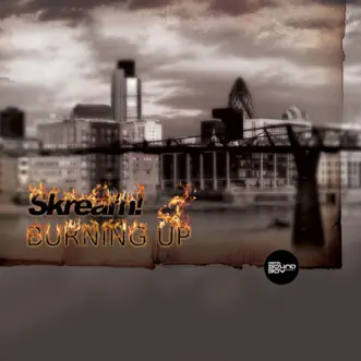 Burning Up / Memories of 3rd Base - Single by Skream album download
