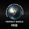 Perfect World (feat. Polina) [Remixes] album lyrics, reviews, download