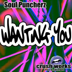 Wanting You - Single by Soul Puncherz album reviews, ratings, credits