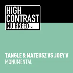 Monumental - Single by Tangle & Mateusz & Joey V album reviews, ratings, credits