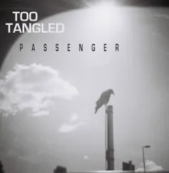 Passenger - Single by Too Tangled album reviews, ratings, credits