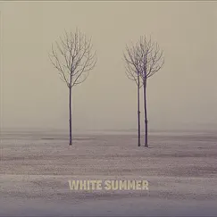 Dirty Highway/See You Again - Single by White Summer album reviews, ratings, credits