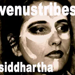 Siddhartha by Venustribes album reviews, ratings, credits