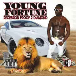 Recession Proof 2 Diamond by Young Fortune album reviews, ratings, credits