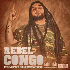 Reggae Vibes Gone International - Single by Raggattack album reviews, ratings, credits