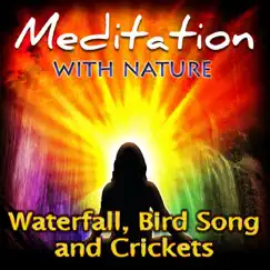 Waterfall, Bird Song and Crickets by Brogue album reviews, ratings, credits
