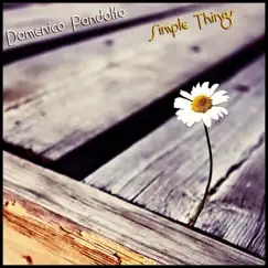 Simple Things by Domenico Pandolfo album reviews, ratings, credits