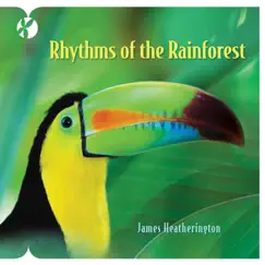 Rhythms of the Rainforest by James Heatherington album reviews, ratings, credits