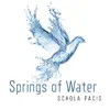 Springs of Water album lyrics, reviews, download