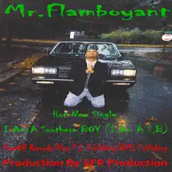 I Am a Southern Boy (I Am a S.B) - Single by Mr. Flamboyant album reviews, ratings, credits
