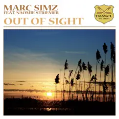 Out of Sight (feat. Naomie Striemer) [Jonas Steur Remix] Song Lyrics