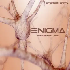 Enigma - Single by Stereohertz album reviews, ratings, credits