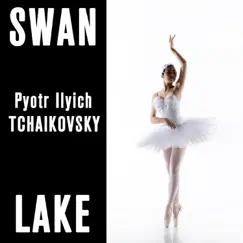 Swan Lake, Op. 20: No. 5, The Black Swan Pas de Deux: III. Variation 1 Song Lyrics