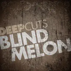 Deep Cuts: Blind Melon - EP by Blind Melon album reviews, ratings, credits